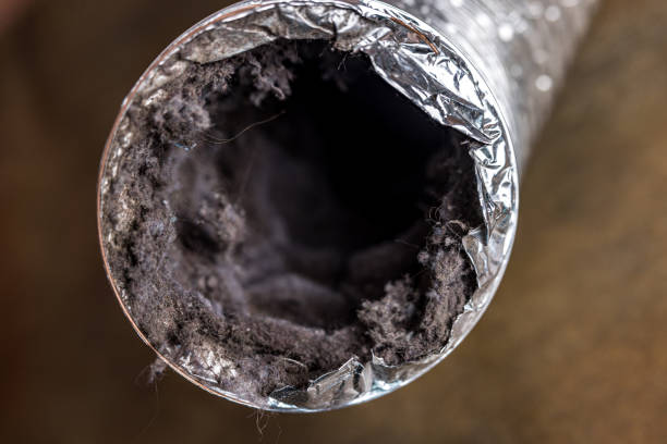 Best Air Duct Sanitizing Services  in Foresthill, CA